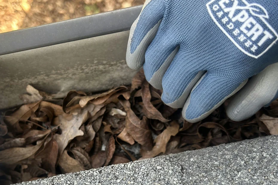 Gutter Cleaning Brooks