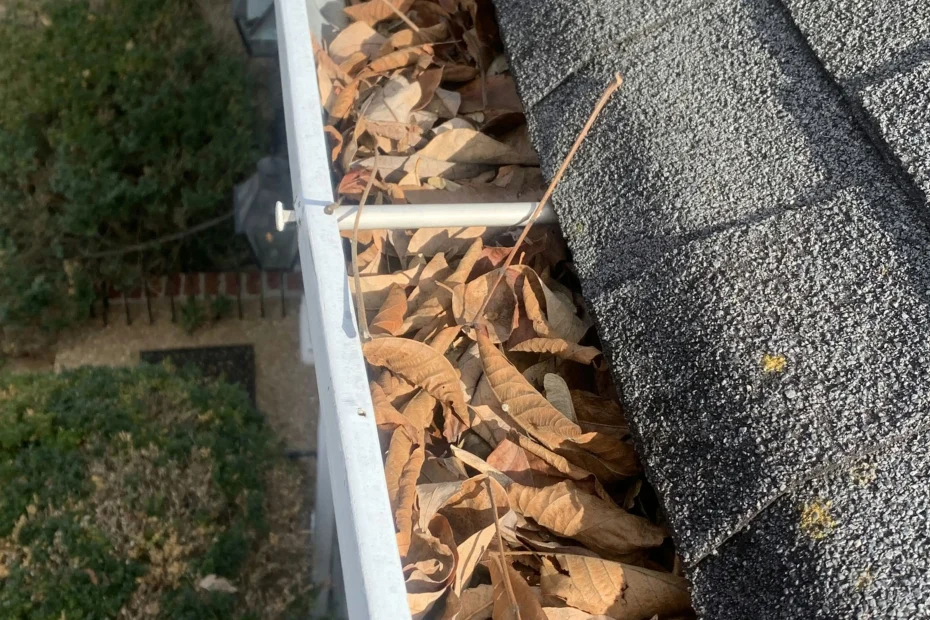 Gutter Cleaning Brooks